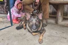 488567187_1222288253235698_1683133424450903996_n