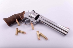 SmithWesson-686-magnum-1024x684-1